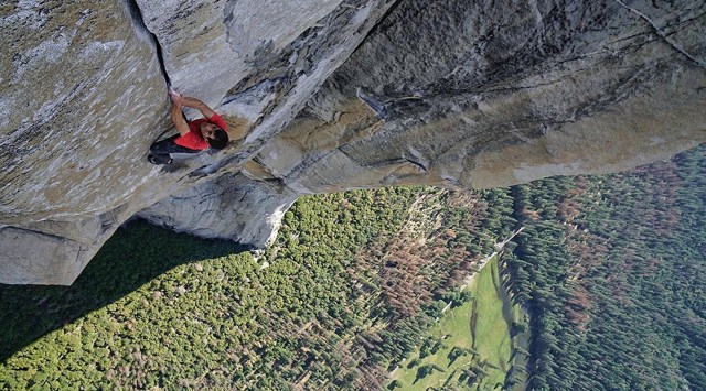 Alex Honnold in Free Solo