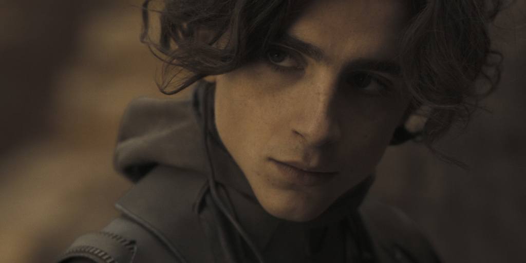 Timothee Chalamet in Dune